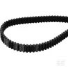 Courroie Pirelli 1440 RPP8-020DD