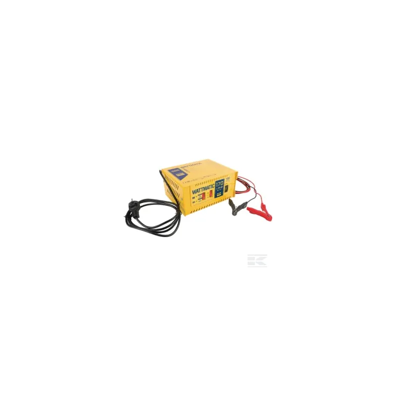 Chargeur de batterie Wattmatic 170