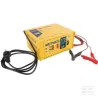 Chargeur de batterie Wattmatic 170