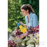 Pulvérisateur Hobby100 (1l)