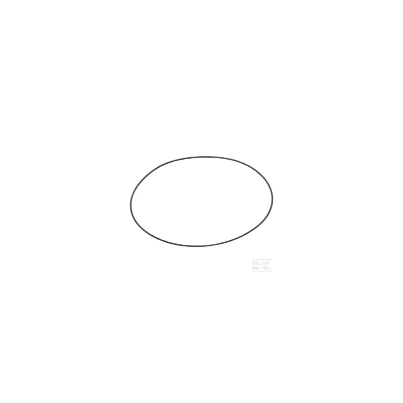 Joint torique/bague d'étanchéité du filtre Solo