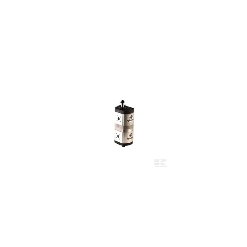 Pompe hydraulique double