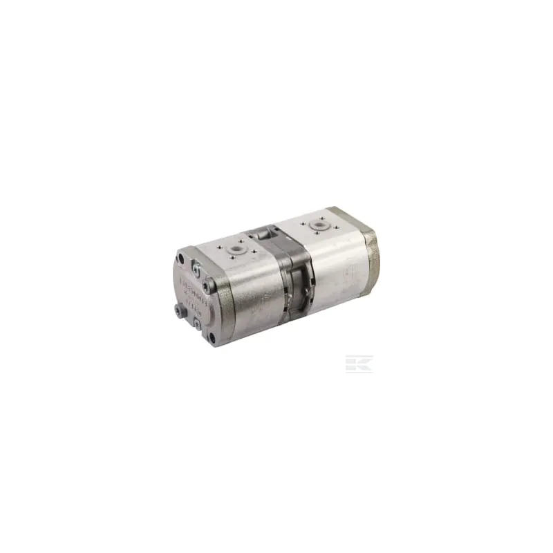 Pompe hydraulique double