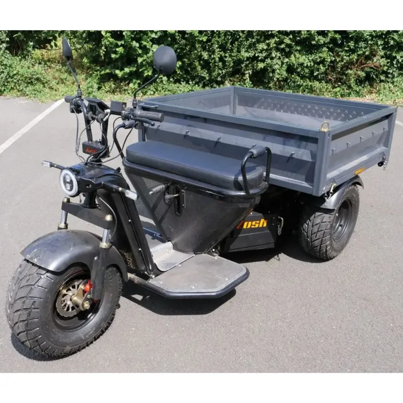 Triporteur RHINO multifonctions électrique COCHET