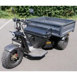 Triporteur RHINO multifonctions électrique COCHET