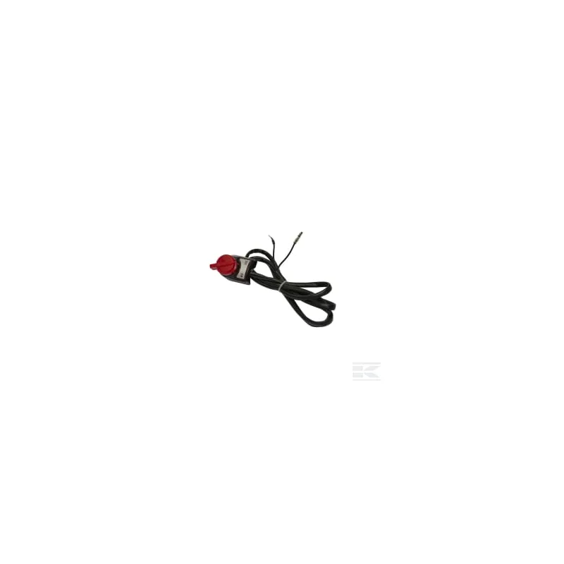 Interrupteur de coupure du moteur (EH09)
