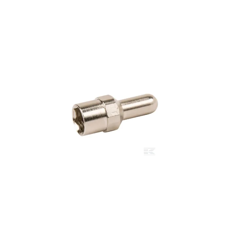 Electrode FL