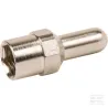 Electrode FL