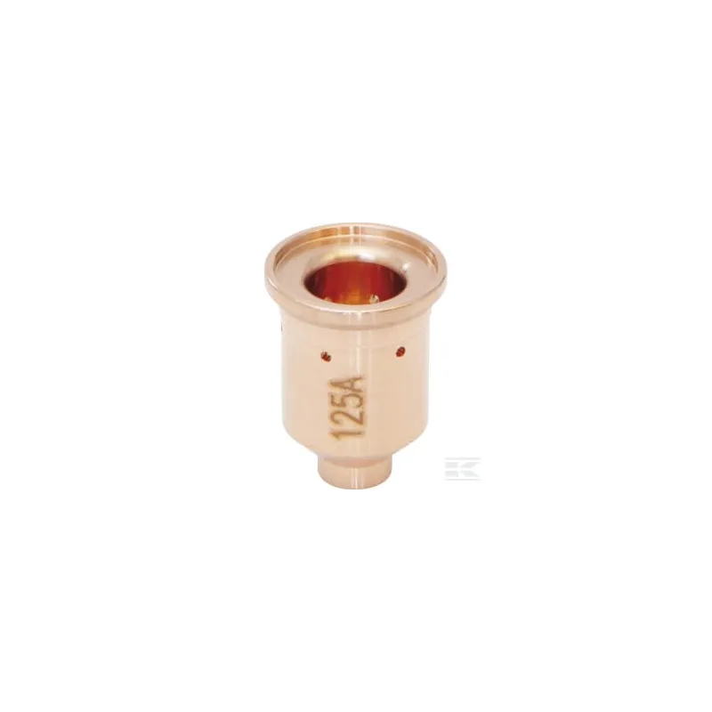 Buses 125 A (5x) Torche plasma MT-125