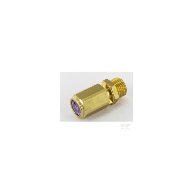 Soupape de sécurité G-1/4"-16,