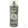 RAL 7012 spray Gris basalte