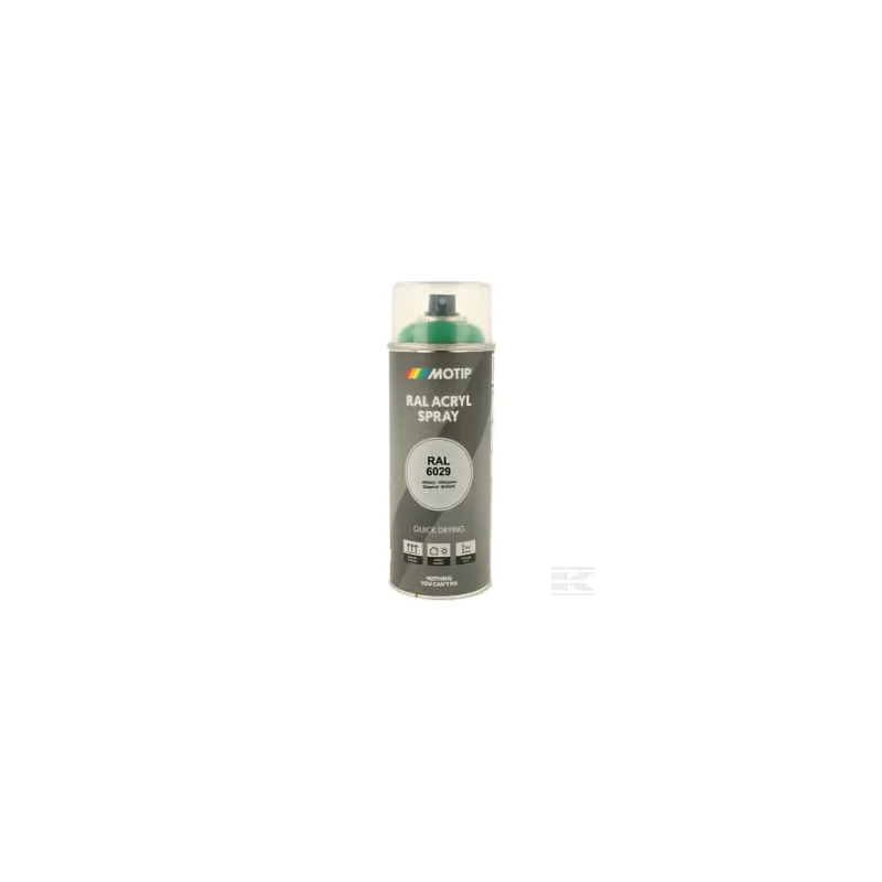 RAL 6029 spray menthe verte