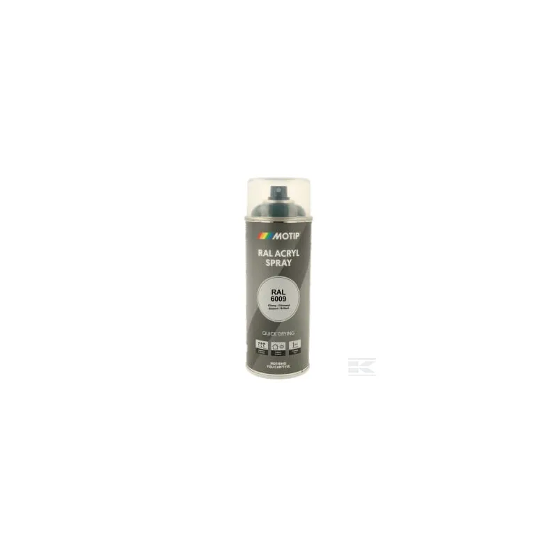 RAL 6009 spray acr. vert sapin