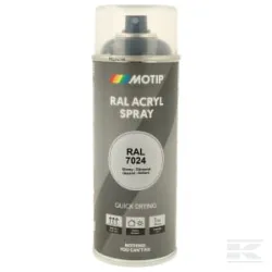 RAL 7024 spray gris graphite