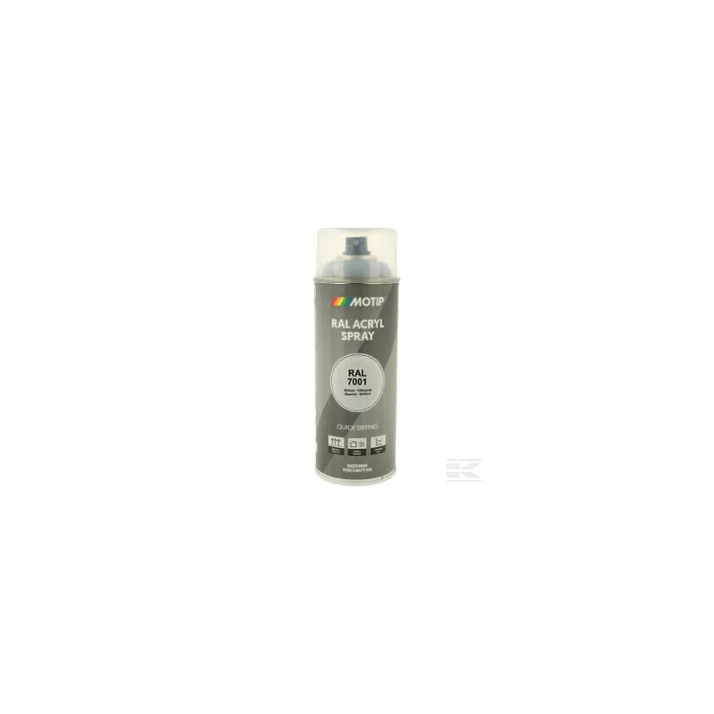 RAL 7001 spray gris argent