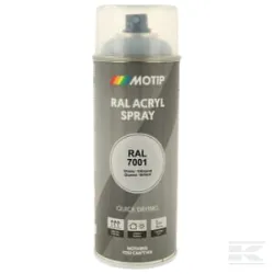 RAL 7001 spray gris argent