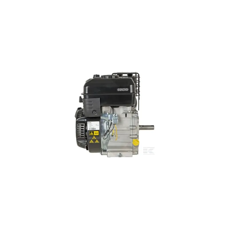 Moteur, horizontal, 3,5 CV, 55
