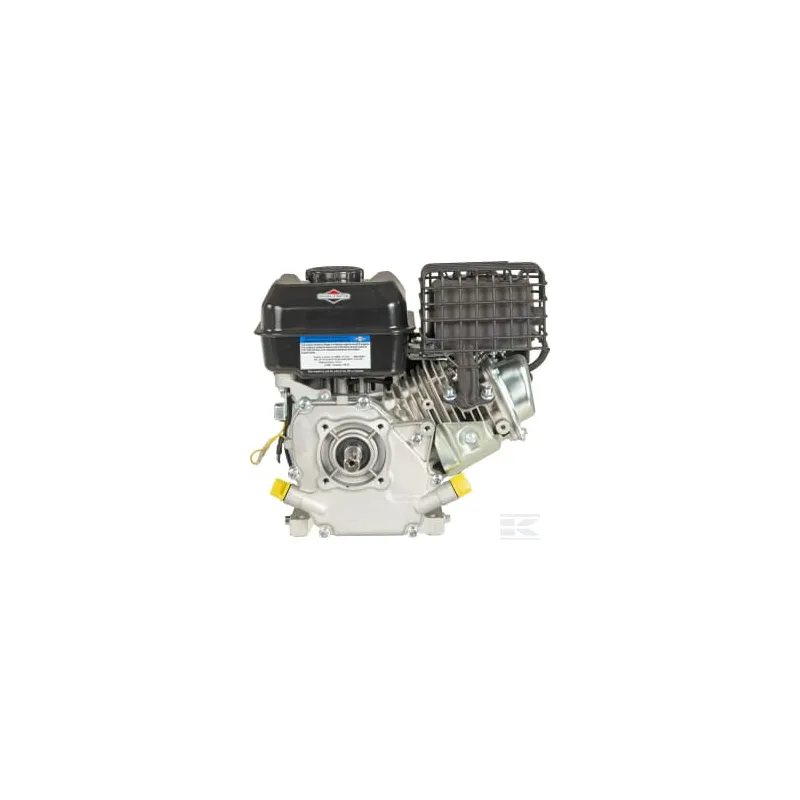 Moteur, horizontal, 3,5 CV, 55