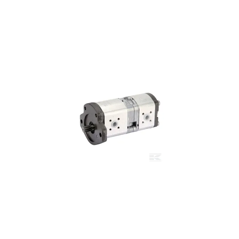 Pompe hydraulique AZPFF-11-019/008LFX2020KB-S0259 Bosch Rexroth