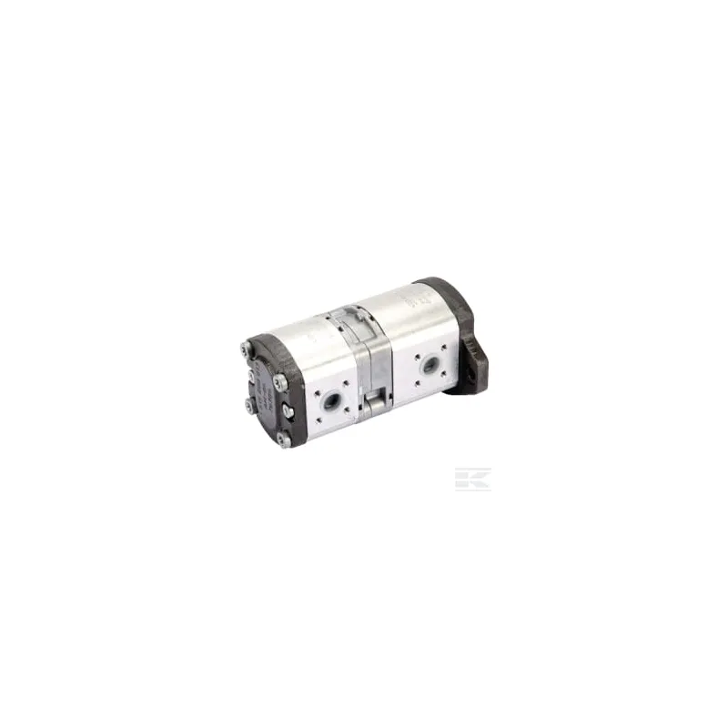Pompe hydraulique AZPFF-11-019/008LFX2020KB-S0259 Bosch Rexroth