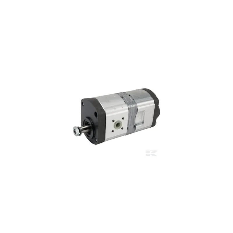 Pompe hydraulique AZPFF-11-011/008LCN20XXPX-S0173 Bosch Rexroth