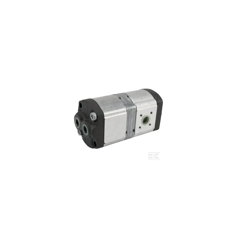 Pompe hydraulique AZPFF-11-011/008LCN20XXPX-S0173 Bosch Rexroth