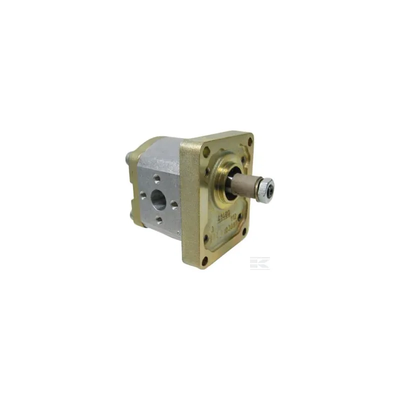 Pompe engrenages AZPF-12-011-R