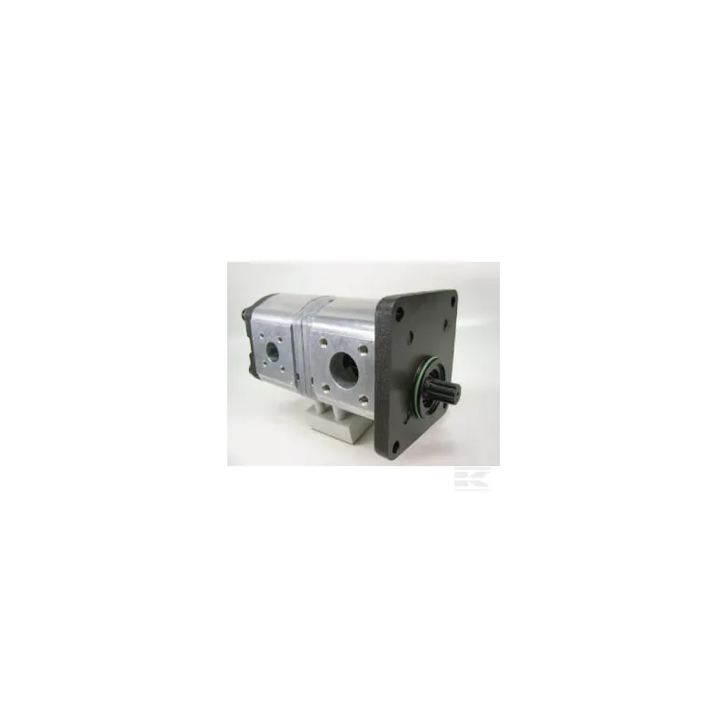 Pompe hydraulique AZPFF-11-019-014-L