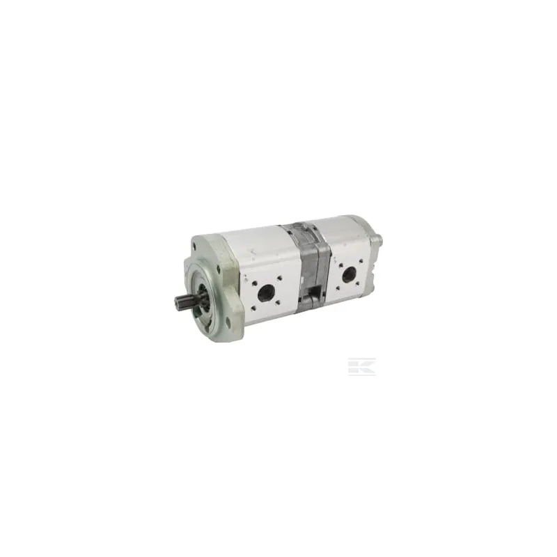 Pompe hydraulique AZPFF-12-019/011RRR2020KB-S0081 Bosch Rexroth