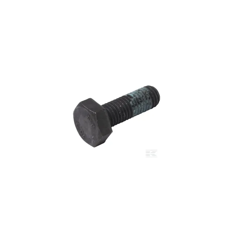 Vis hex. M10x30 10,9