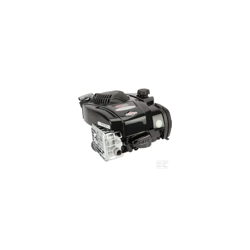 Moteur, vertical, 4,4 CV, série 625E, Briggs & Stratton