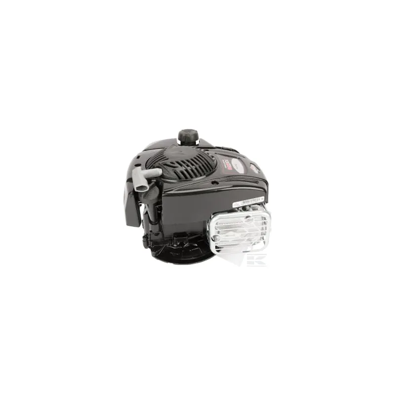 Moteur, vertical, 4,4 CV, série 625E, Briggs & Stratton