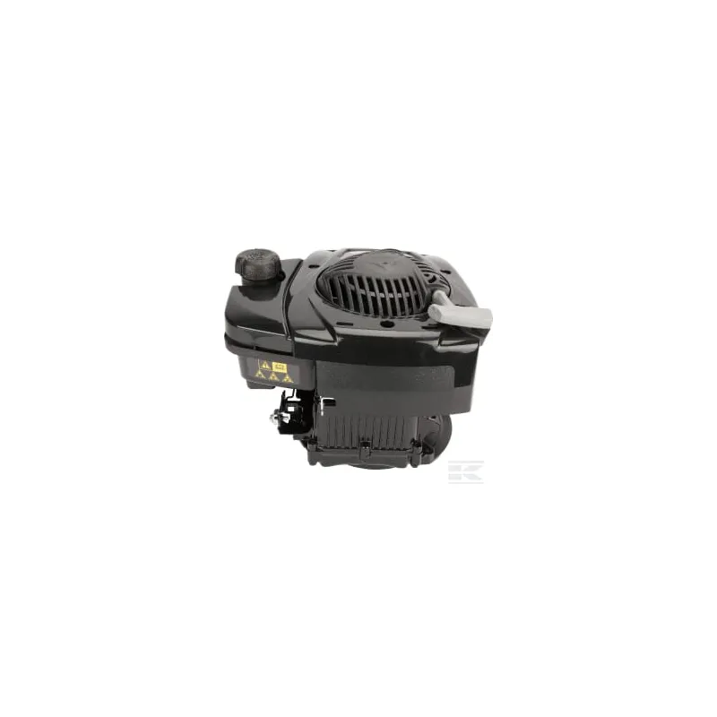 Moteur, vertical, 4,4 CV, série 625E, Briggs & Stratton
