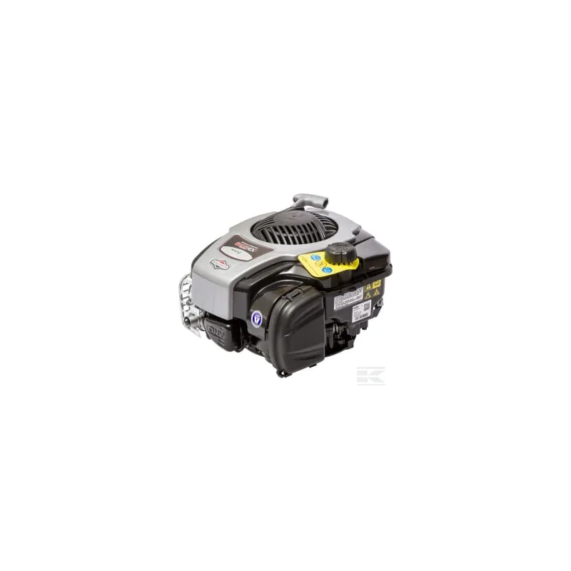 Moteur, vertical, 4,4 CV, série 625E, Briggs & Stratton