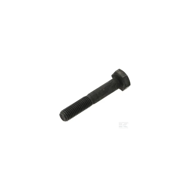 Vis hex. M10x60 10,9