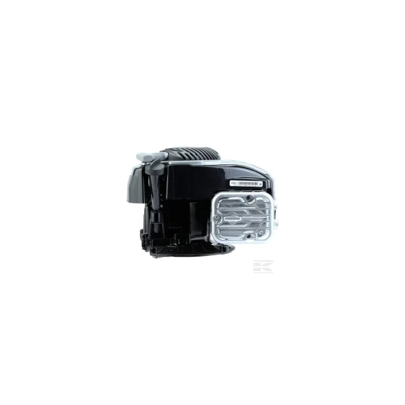 Moteur, vertical, 3,9 CV, série 575EX, Briggs & Stratton
