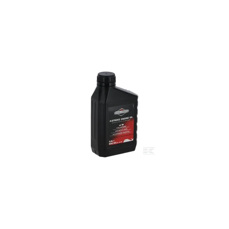 Huile SAE 30 0,6L Briggs & Stratton