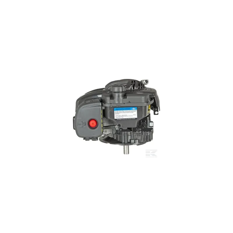 Moteur, vertical, 3,5 CV, série 500, Briggs & Stratton