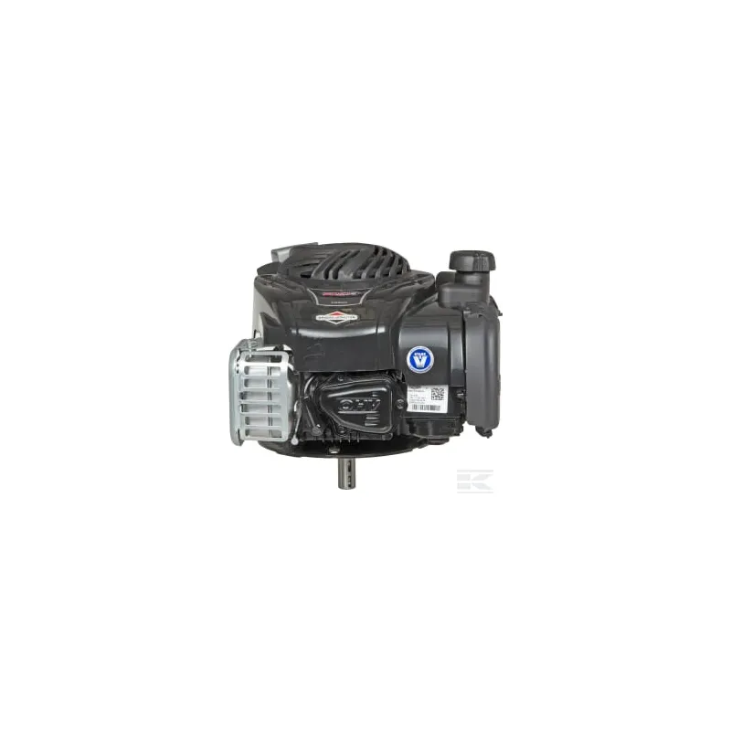 Moteur, vertical, 3,5 CV, série 500, Briggs & Stratton