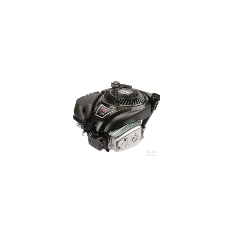 Moteur vertical, 5,0 HP, monocylindre, série 750 EX, Briggs & Stratton