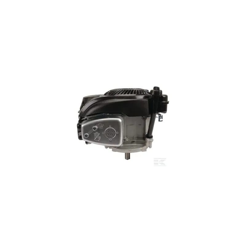 Moteur vertical, 5,0 HP, monocylindre, série 750 EX, Briggs & Stratton