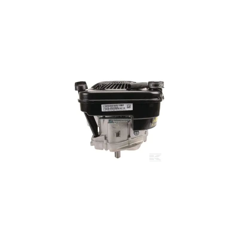 Moteur vertical, 5,0 HP, monocylindre, série 750 EX, Briggs & Stratton