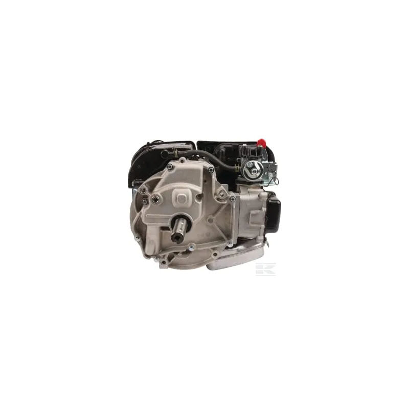Moteur vertical, 5,0 HP, monocylindre, série 750 EX, Briggs & Stratton