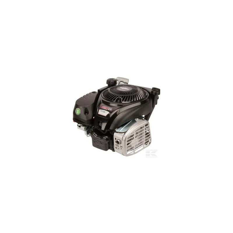 Moteur, vertical, 5 CV, série 750 EX, Briggs & Stratton