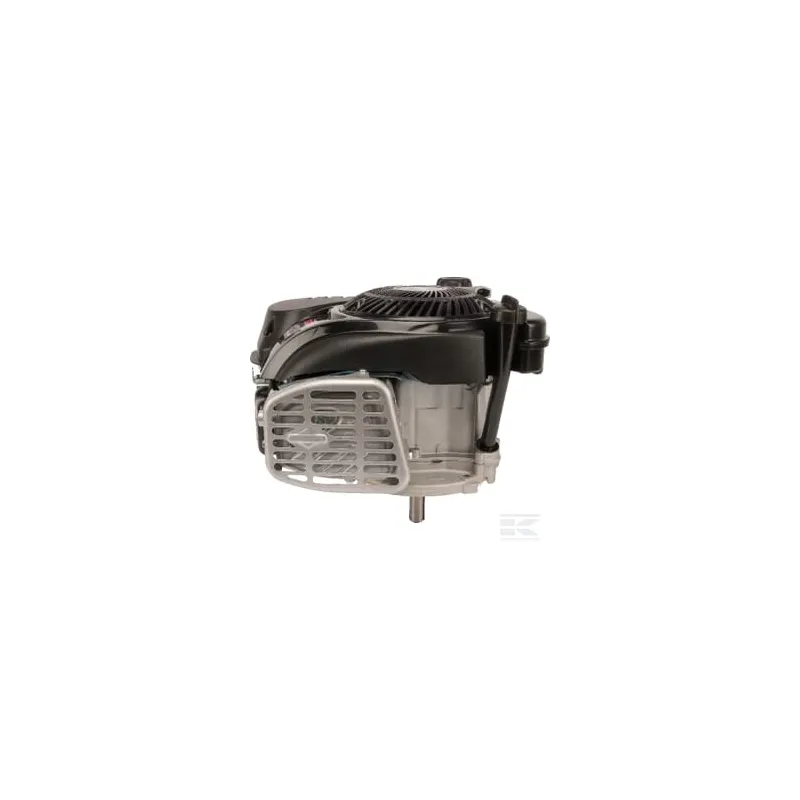 Moteur, vertical, 5 CV, série 750 EX, Briggs & Stratton