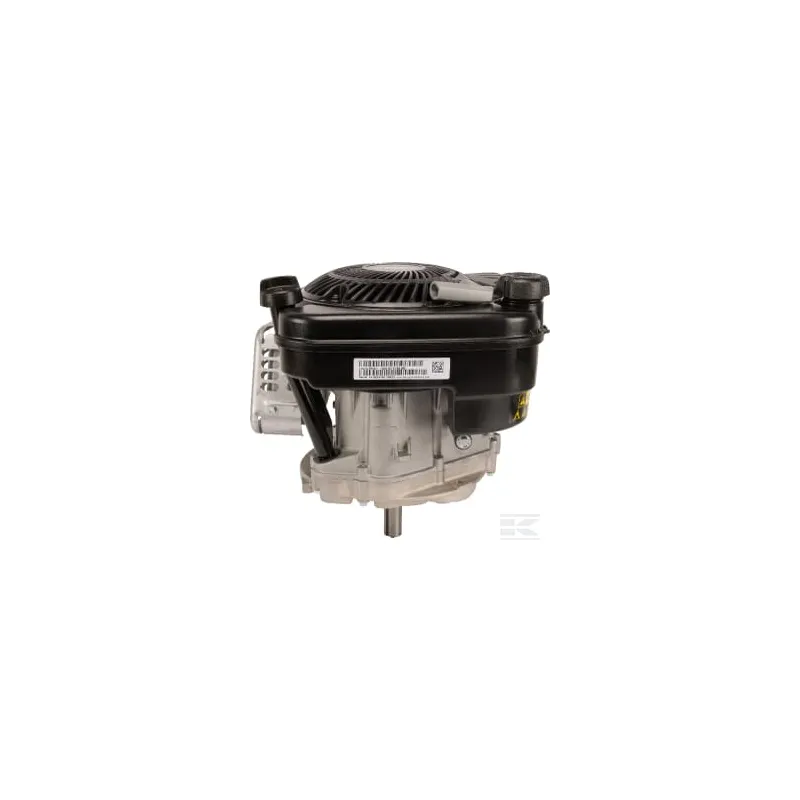 Moteur, vertical, 5 CV, série 750 EX, Briggs & Stratton