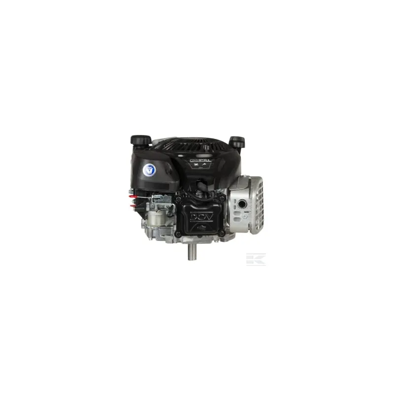 Moteur vertical, 5,0 HP, monocylindre, série 750 EX, Briggs & Stratton