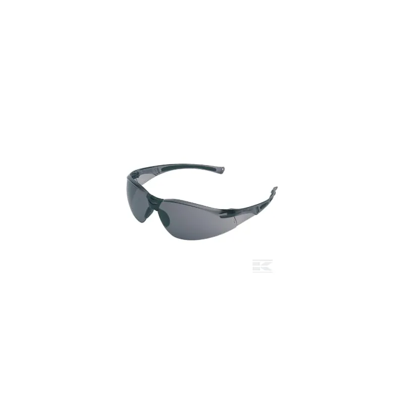 Lunettes sécurité A 800 gris H
