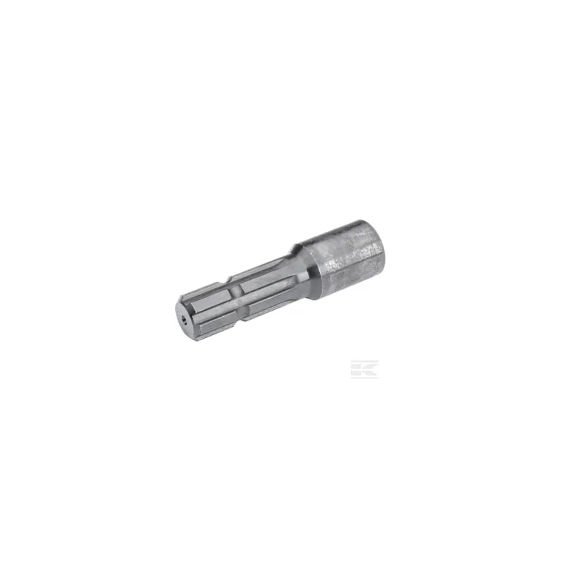 Prolongateur