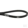 Courroie trapézoïdale